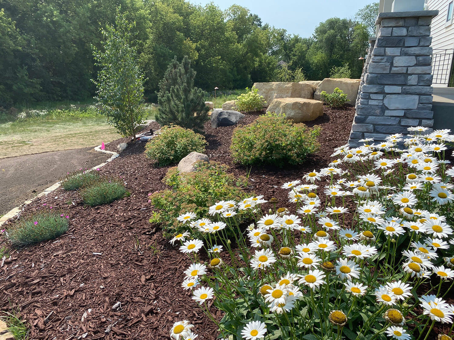 Landscaping - Signature Patio and Landscape Co.